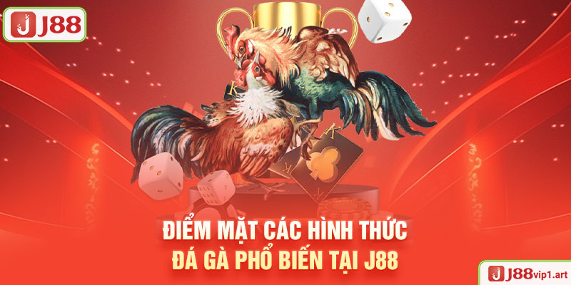 Đá Gà J88 Điểm Mặt Các Hình Thức Đá Gà Phổ Biến Tại J88