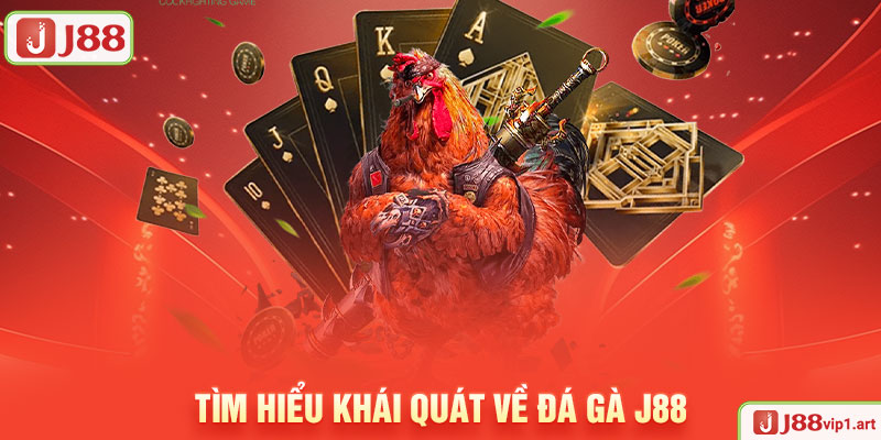 Đá Gà J88 Tìm Hiểu Khái Quát Về Đá Gà J88