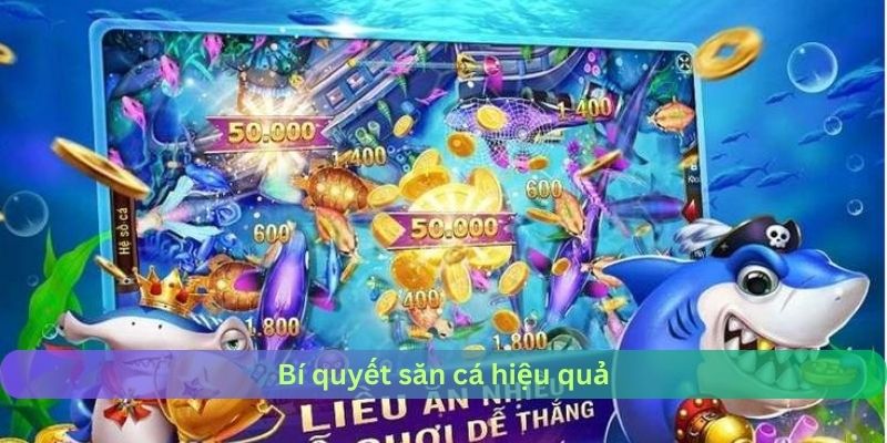Bí quyết săn cá hiệu quả